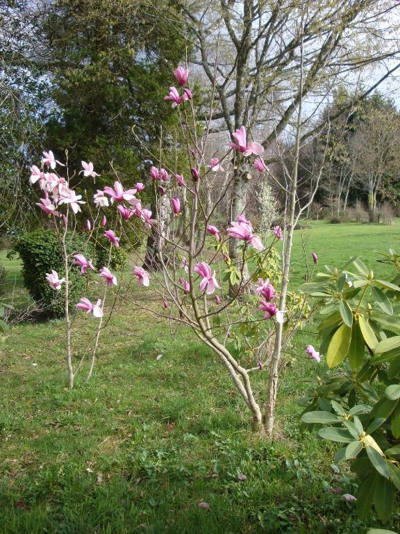 Domaine De Gaudon Bed & Breakfast Ceilloux ภายนอก รูปภาพ